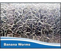 Micro Worms - Banana Worms Culture - FISH HUT AQUA AND PET SUPPLIES - #location#