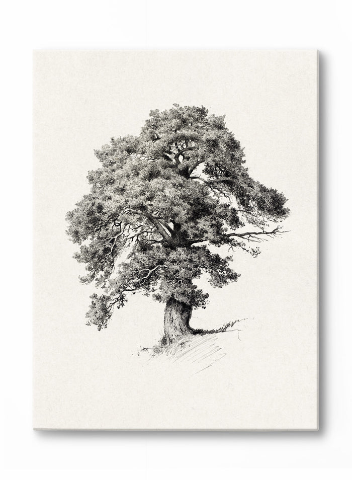 Mighty Tree, Poster