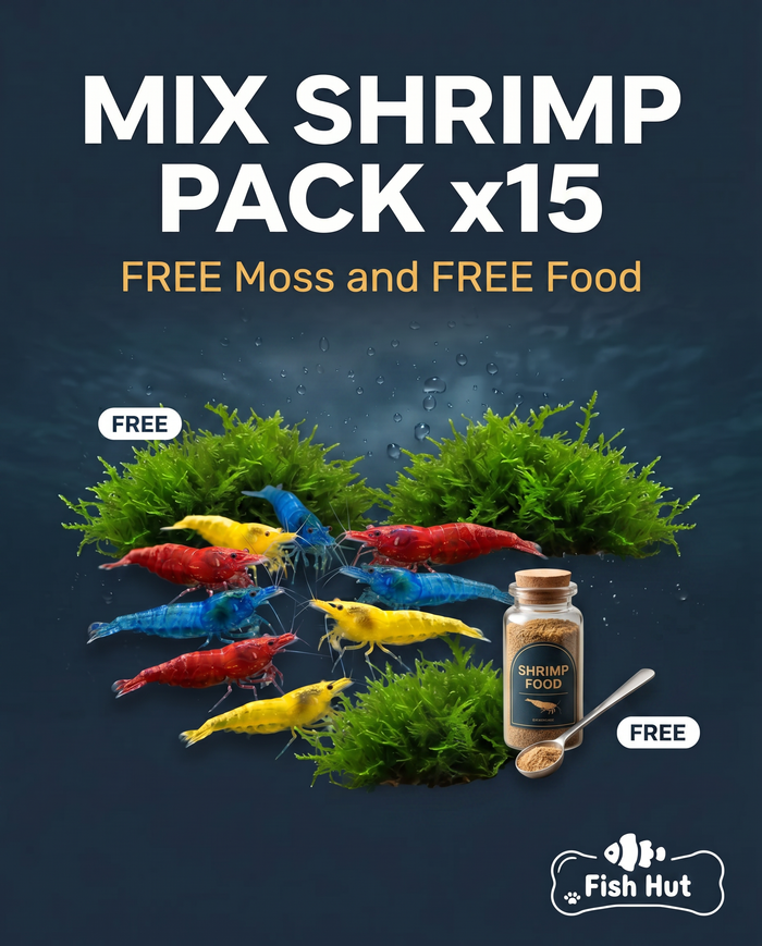 MIX Shrimp Pack of 15 + Free Food and Moss