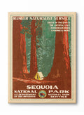 National Treasure, Canvas