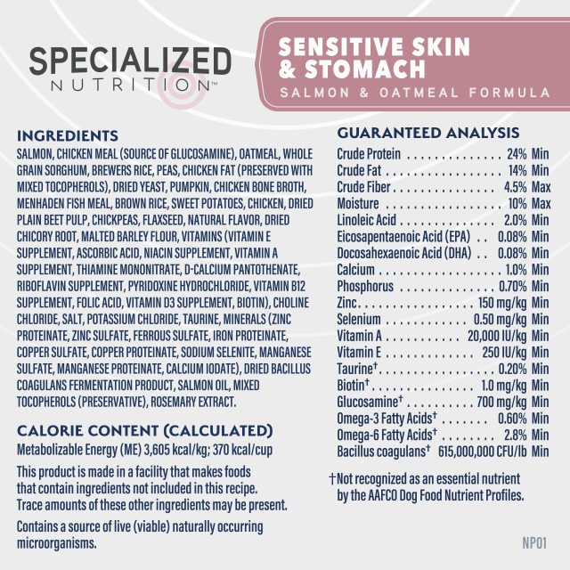 Natural Balance Sensitive Skin & Stomach Salmon & Oatmeal Formula Dry Dog Food