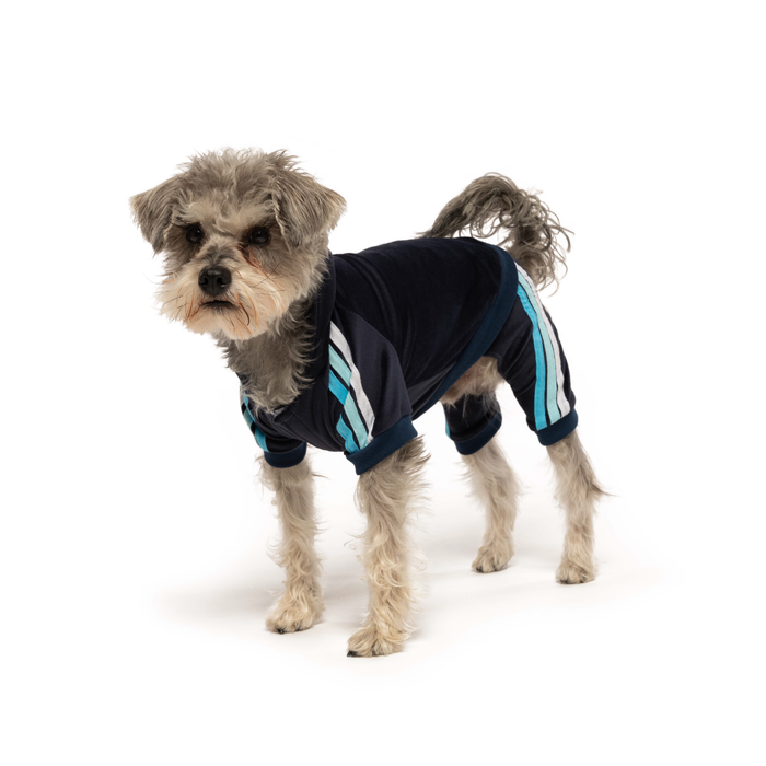 fabdog® Navy Velour Jogger Apparel