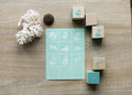 Ocean Animals Toymaker Kit