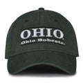 Ohio Dad Cap