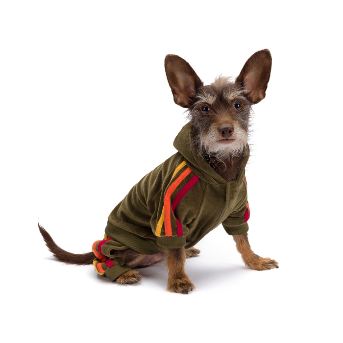 fabdog® Olive Velour Jogger Apparel