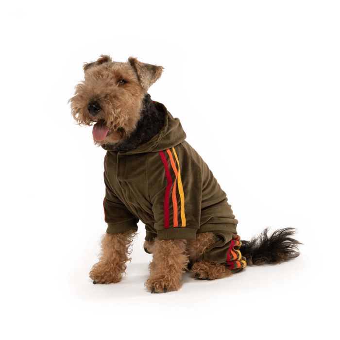 fabdog® Olive Velour Jogger Apparel