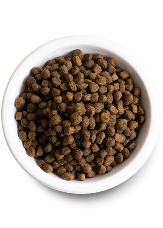 Open Farm Homestead Turkey & Ancient Grains Dry Dog Food