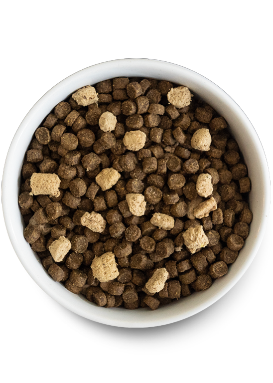 Open Farm Wild Ocean Ancient Grains RawMix for Dogs