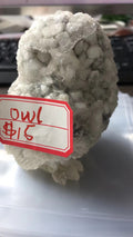 OWL-2022.3.14-CAIISE
