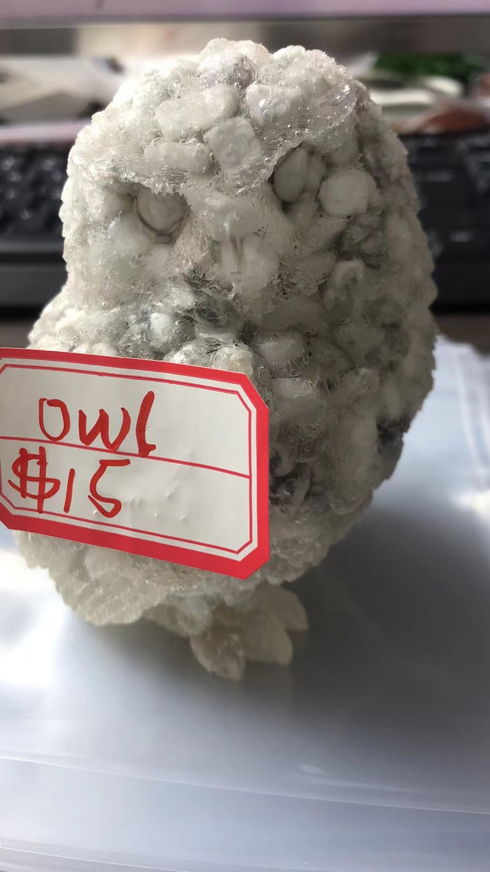 OWL-2022.3.14-CAIISE