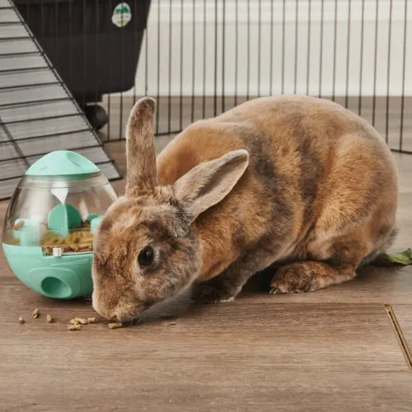 Oxbow Animal Health Enriched Life – Wobble Teaser