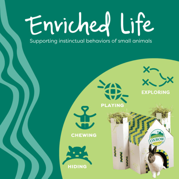 Oxbow Animal Health Enriched Life  Wood Brush & Comb