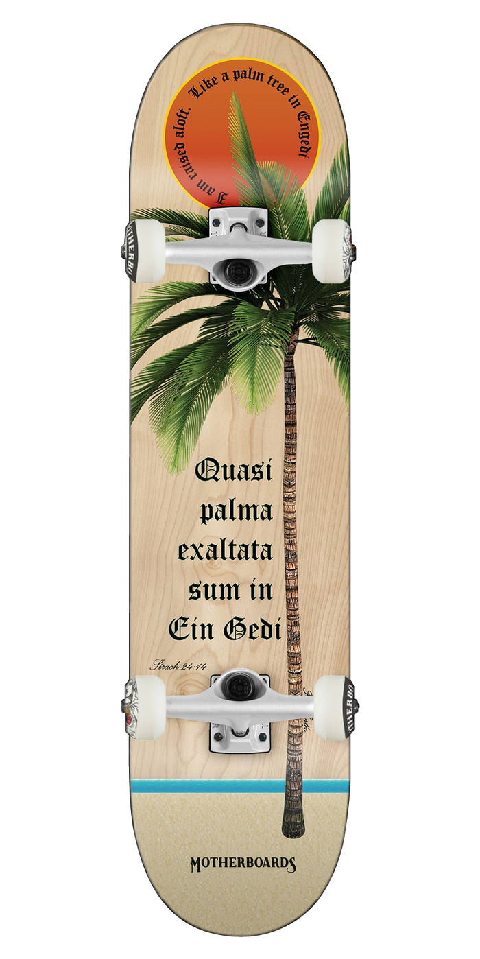 Palm Tree