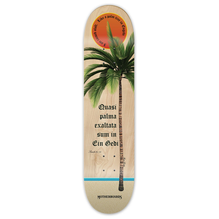 Palm Tree