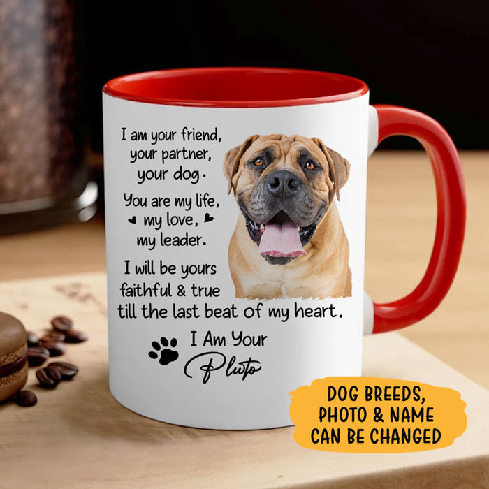 Personalized dog mom mug, gift for dog lovers - Your friend your partner your dog, custom photo, custom coffee cup