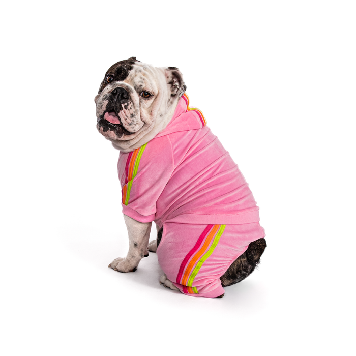 fabdog® Pink Velour Jogger Apparel