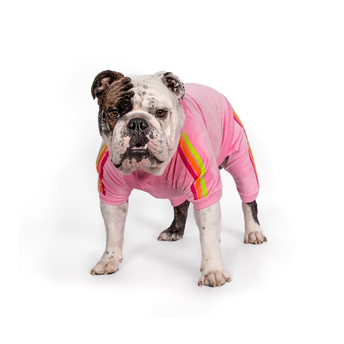 fabdog® Pink Velour Jogger Apparel