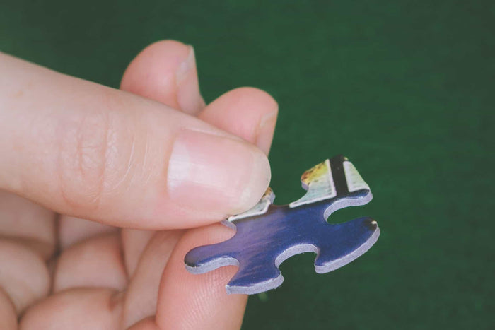 Readers Paradise Puzzle-Lange General Store