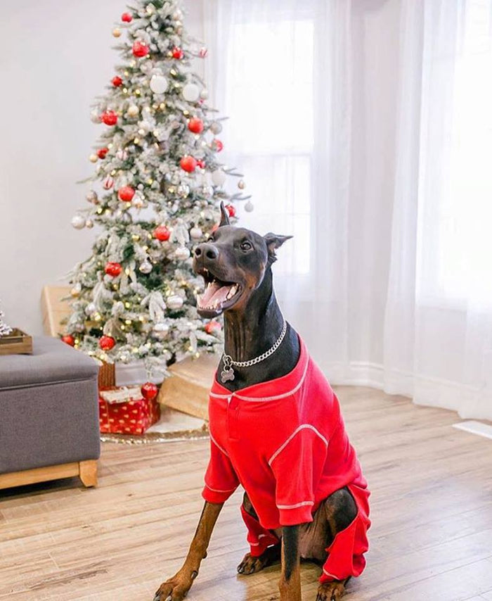 fabdog® Red Thermal Pajamas Apparel