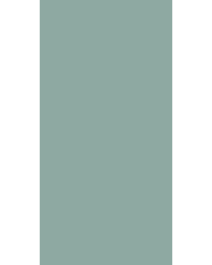 Shore - FM 9146