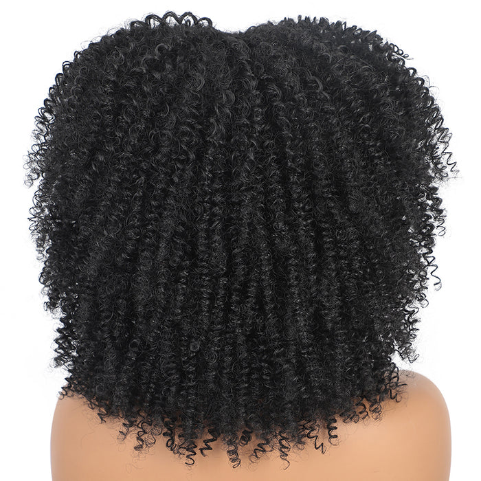 Synthetic Curly Wig With Bangs | Short Everyday Curly Hair Wig