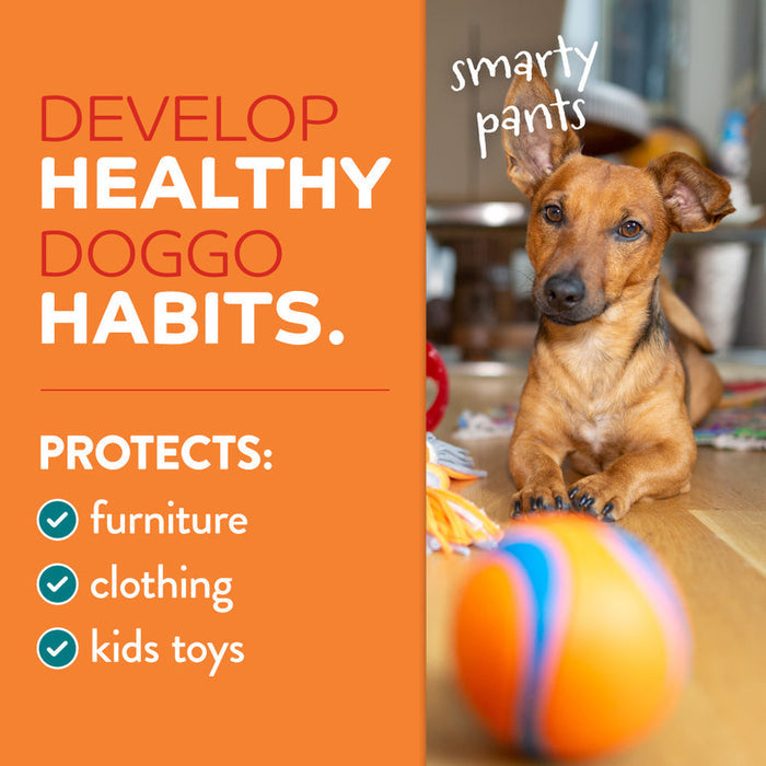 TropiClean Chew Stop Dog Behavior Aid Home Spray 4-In-1