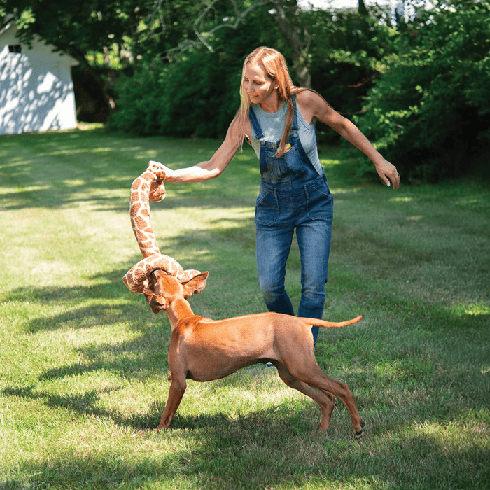 fabdog® Twisty Giraffe Toys