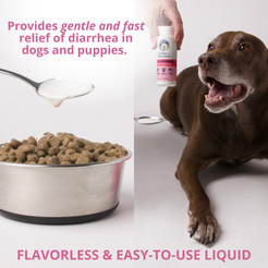 Under the Weather Anti-Diarrhea Liquid For Dogs