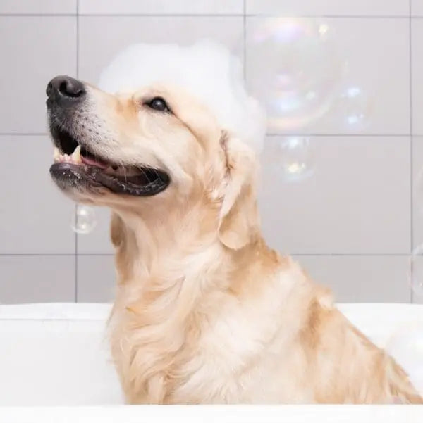 Wee Away Skunk Odor Eliminator