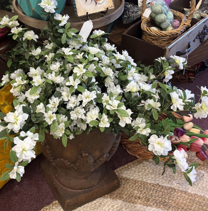 White Azalea Bush with Cascading Stems 27”length