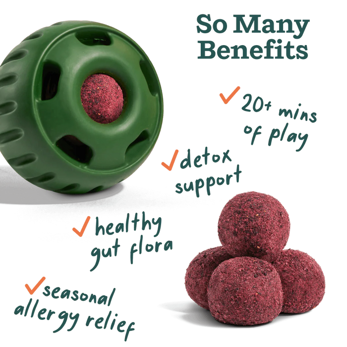 Woof Allergy & Immunity Pops