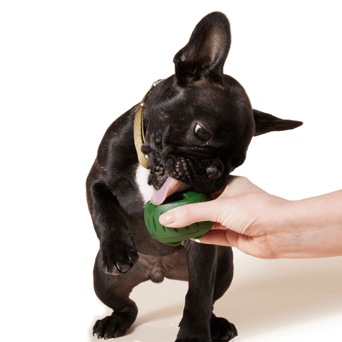 Woof Pupsicle Treat Tray