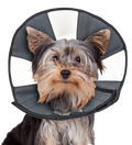 Zen Cone